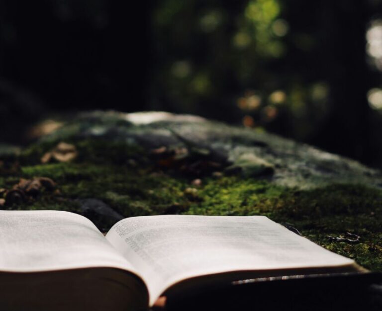 Commission On Ministry Continues